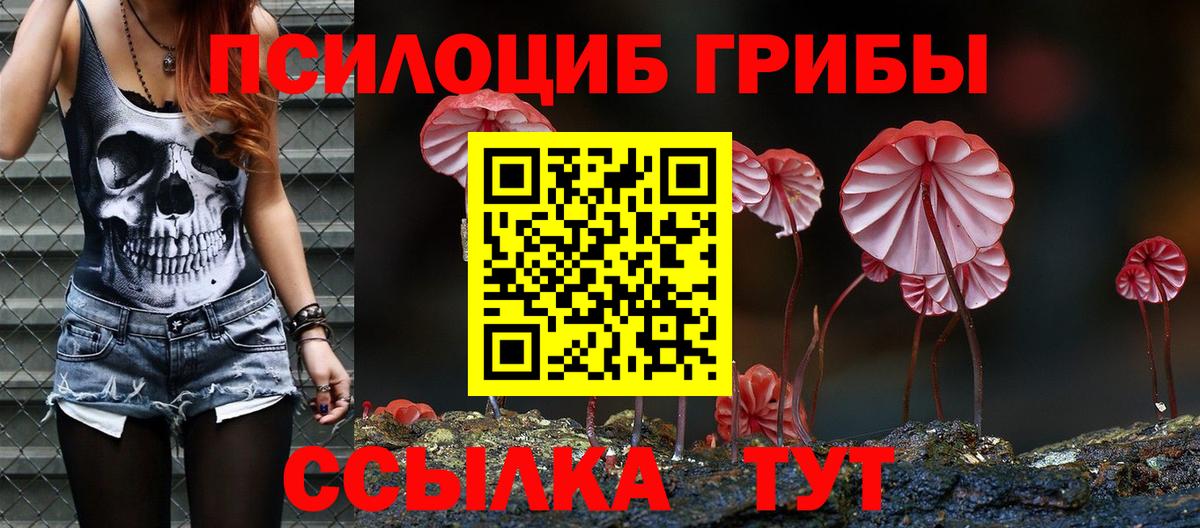 Галлюциногенные грибы Magic Shrooms  Вход с VPN  Асино 